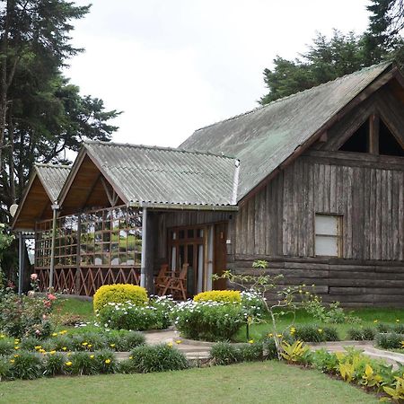 Calamander Lake Gregory Nuwara Eliya Exteriér fotografie